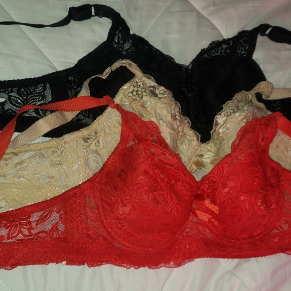 Lace Bras - Picture 3 of 5